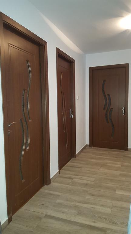 Vila Alex Hotel Călimăneşti Exterior foto