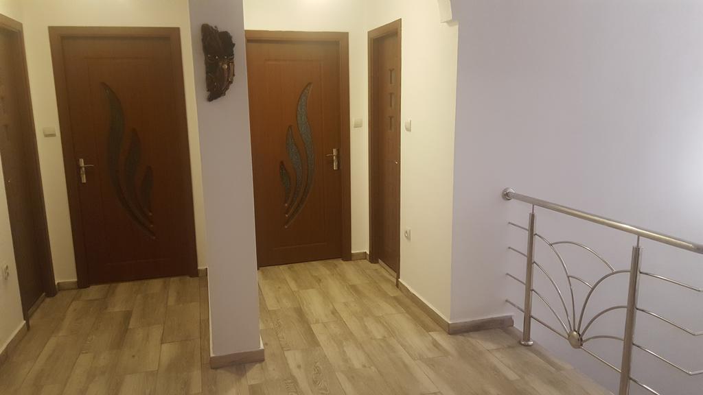 Vila Alex Hotel Călimăneşti Exterior foto