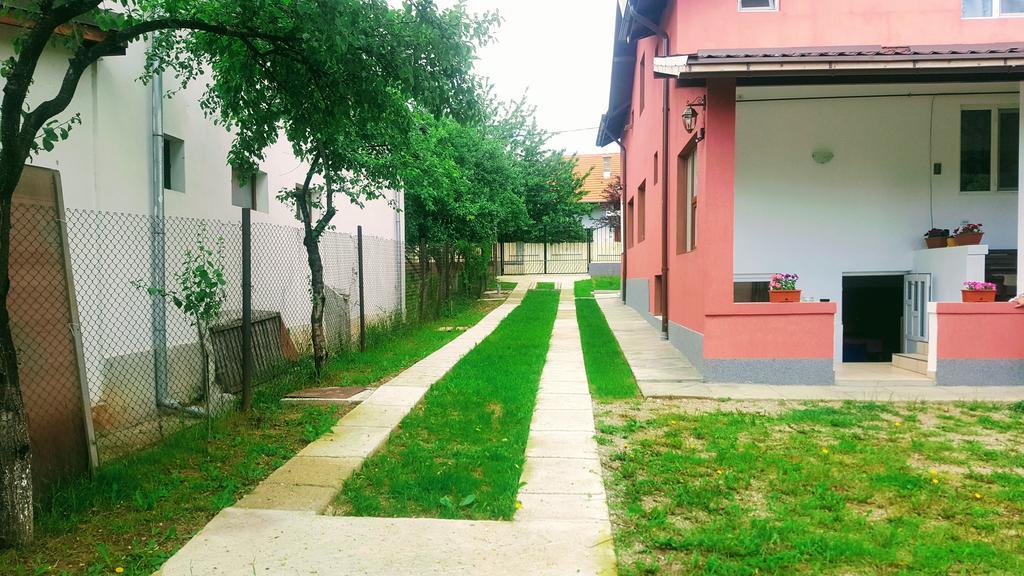 Vila Alex Hotel Călimăneşti Exterior foto